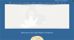 Desktop Screenshot of colliehealth.org